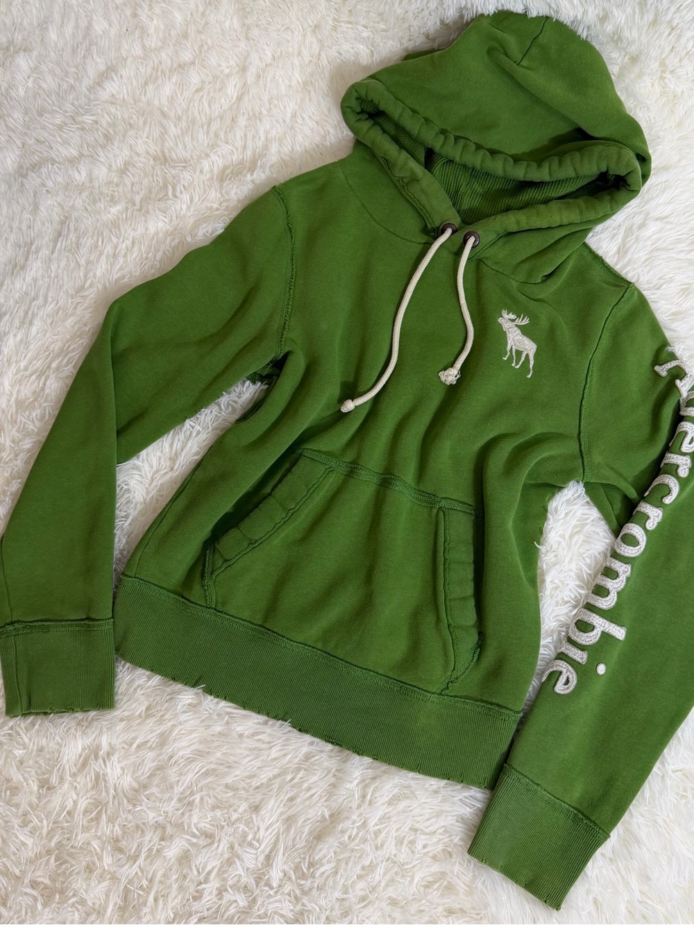 Abercrombie & Fitch Early Y2K Hoodie